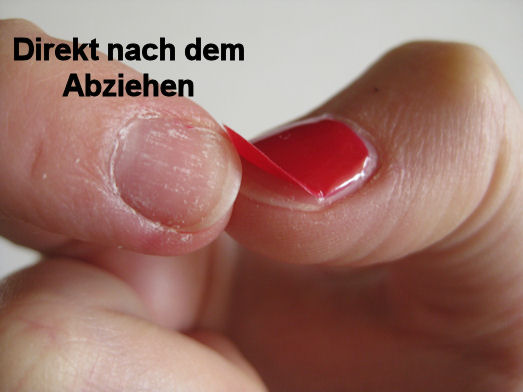 Erfahrungsbericht Shellac Innenaussen