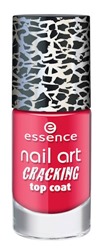 ess_CrackingTopCoat09