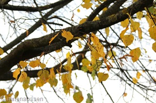 Herbst-Innen-Aussen-12