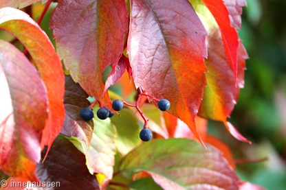 Herbst-Innen-Aussen-15