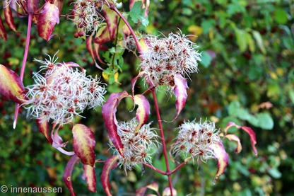 Herbst-Innen-Aussen-3