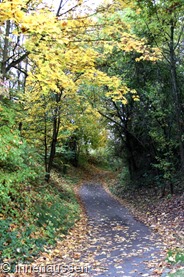 Herbst-Innen-Aussen