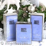 22.12. Angel