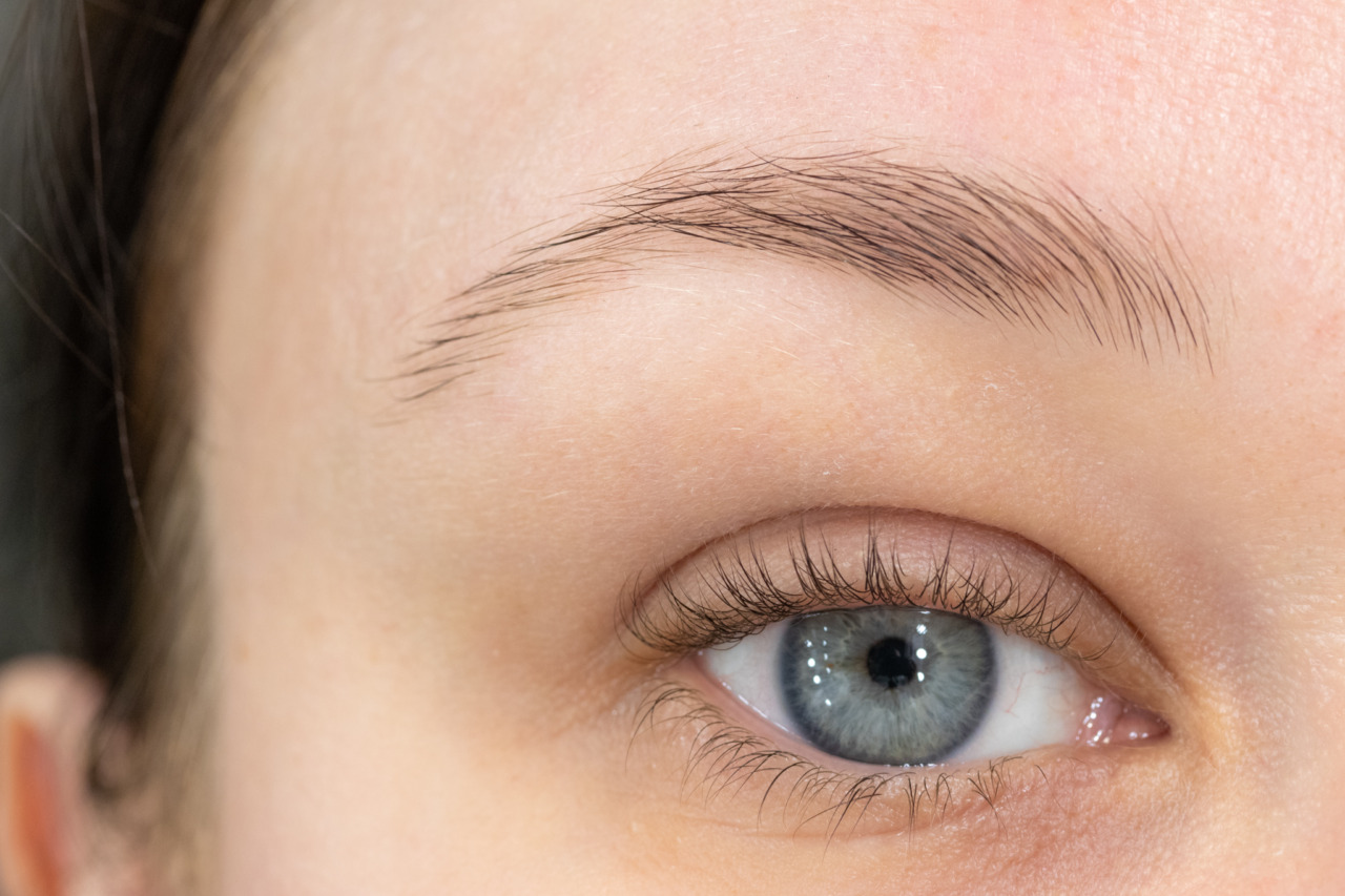 Tutorial Augenbrauen zuhause färben mit RefectoCil InnenAussen