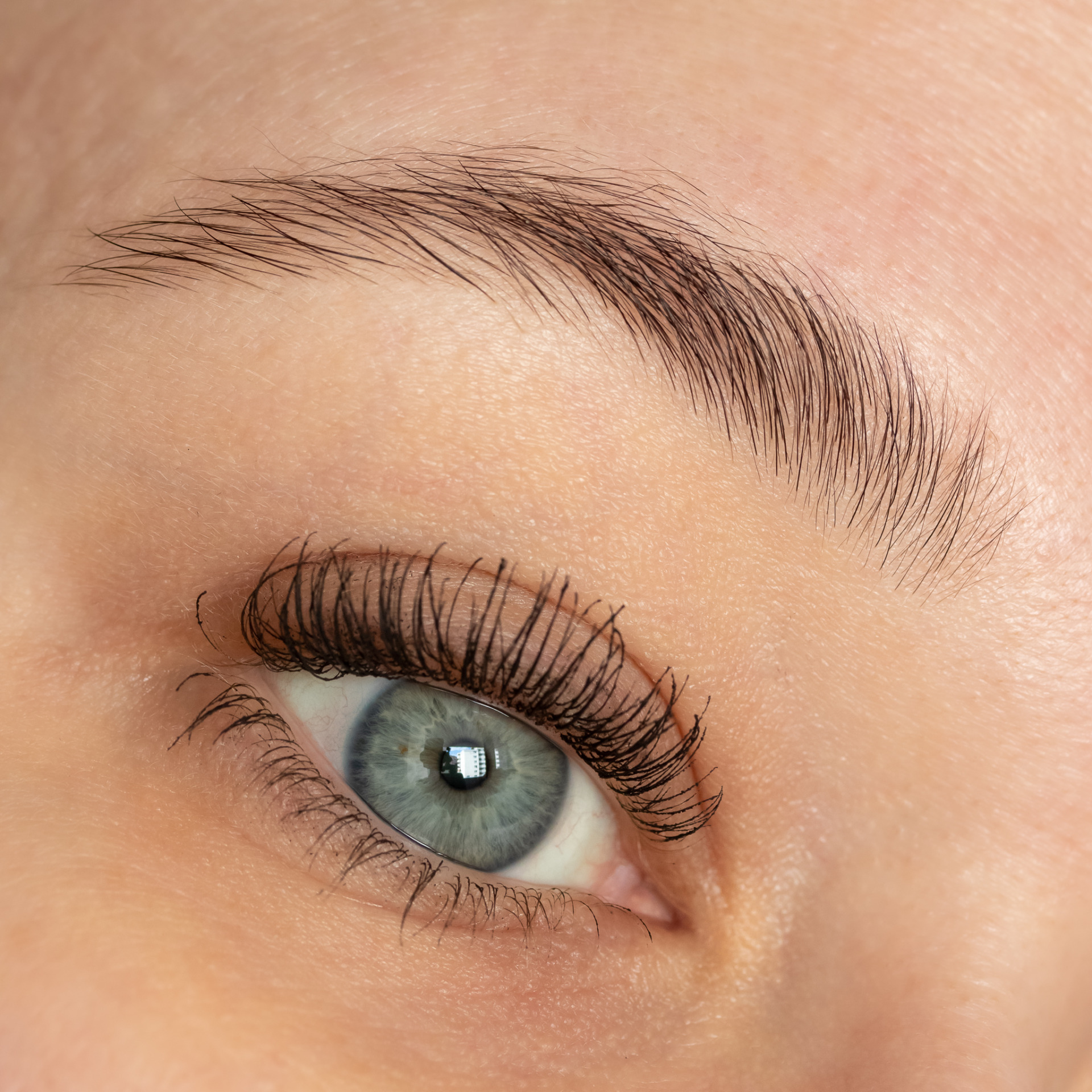 anastasia brow freeze anastasia brow freeze